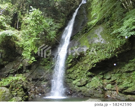 祖谷渓の滝 58242590