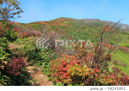 那須ゴンドラから三本槍岳へ向かう登山道 58243801