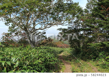 中大倉尾根から三本槍岳の方を見る 58244023