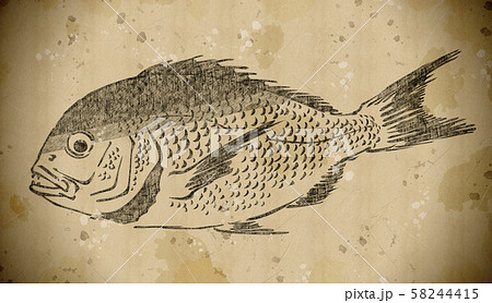 浮世絵 魚 その1 Vintageのイラスト素材
