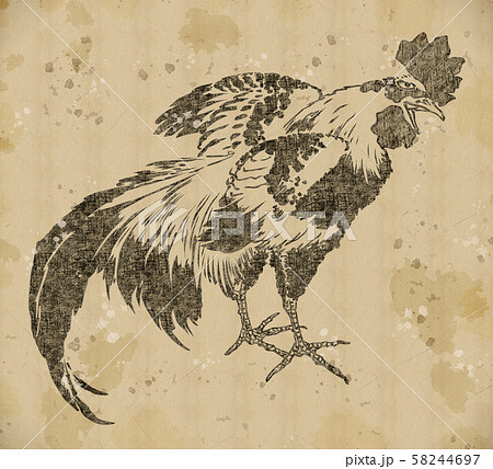 浮世絵 にわとり その1 vintageのイラスト素材 [58244697] - PIXTA