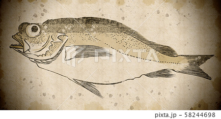 浮世絵 魚 その2 Vintageのイラスト素材