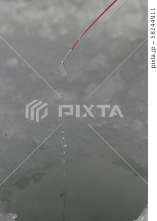 ワカサギ釣り ワカサギ釣り 58244911