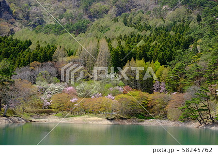 半田山自然公園 半田山自然公園 58245762