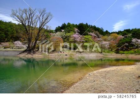 半田山自然公園 半田山自然公園 58245765