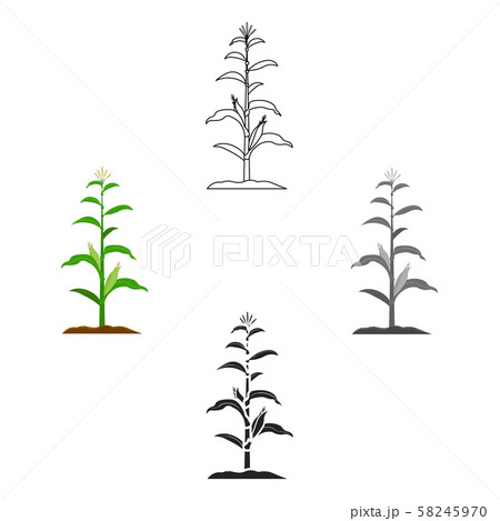 Corn icon cartoon,black. Single plant icon from the big farm, garden, agriculture cartoon,black. 58245970