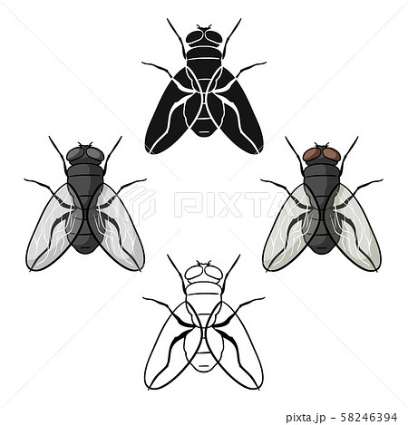 Fly icon in cartoon,black style isolated on white background. Insects symbol stock vector 58246394