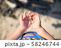 シーグラス 58246744