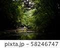 夏の渓谷 58246747