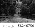 参道 58246750