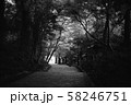 参道 58246751