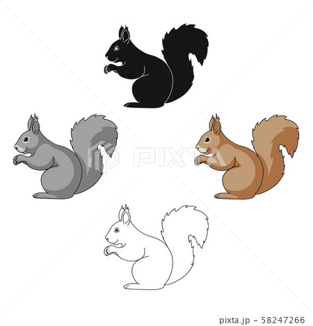 Squirrel.Animals single icon in cartoon,black style vector symbol stock illustration web. Squirrel.Animals single icon in cartoon,black style vector symbol stock illustration web. 58247266