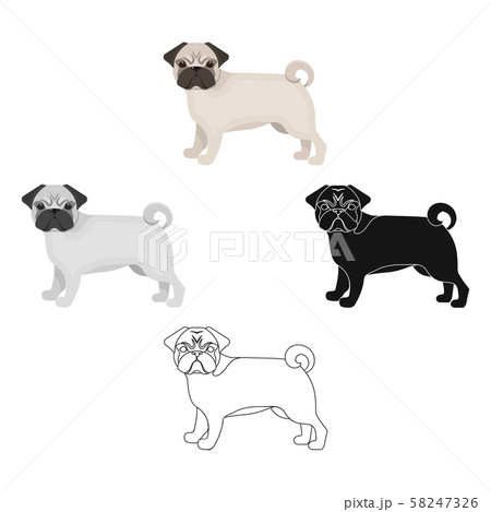 Bulldog, single icon in cartoon,black style.Bulldog, vector symbol stock illustration web. Bulldog, single icon in cartoon,black style.Bulldog, vector symbol stock illustration web. 58247326