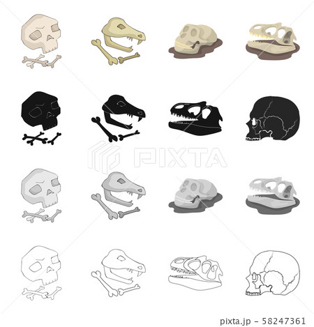 Isolated object of skeleton and character sign. Set of skeleton and halloween stock symbol for web. 58247361