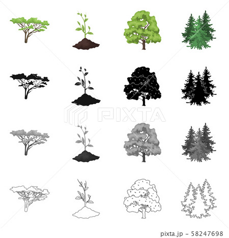 Isolated object of tree and forest sign. Set of tree and green stock vector illustration. 58247698