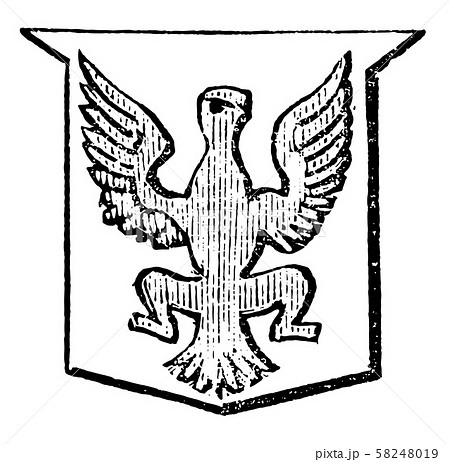 Allerion have a eagle displayed, vintage Allerion have a eagle displayed, vintage 58248019
