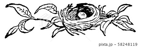 Bird Nest with an Egg, vintage illustration. 58248119
