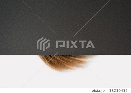 Strand of blonde hair on a black and white 58250455