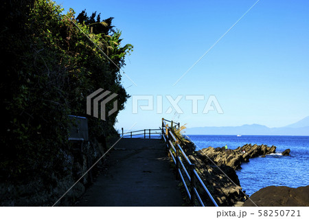 城ヶ島（秋） 58250721