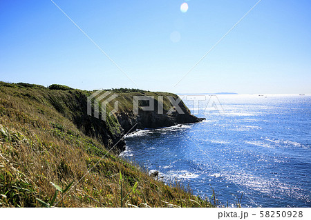 城ヶ島（秋） 58250928