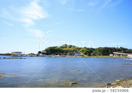 毘沙門（秋） 58250966