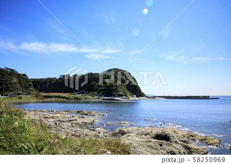 毘沙門（秋） 58250969