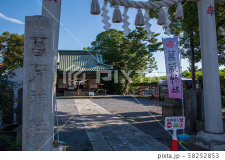 菖蒲神社 久喜市菖蒲町 菖蒲神社 久喜市菖蒲町 58252853