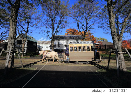 北海道 札幌 秋の北海道開拓の村 北海道 札幌 秋の北海道開拓の村 58254354