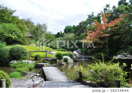 臨済宗妙心寺派大本山／正法山妙心寺（京都府）　池泉回遊式庭園で心和む 58254644