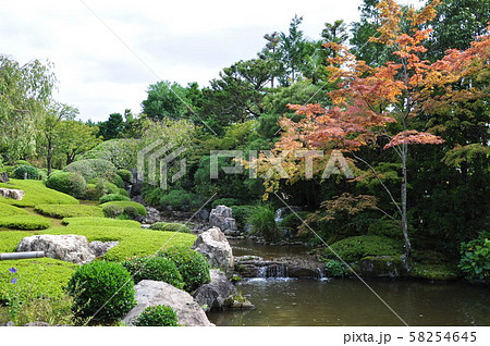 臨済宗妙心寺派大本山/正法山妙心寺(京都府)池泉回遊式庭園で心和む 臨済宗妙心寺派大本山/正法山妙心寺(京都府)池泉回遊式庭園で心和む 58254645