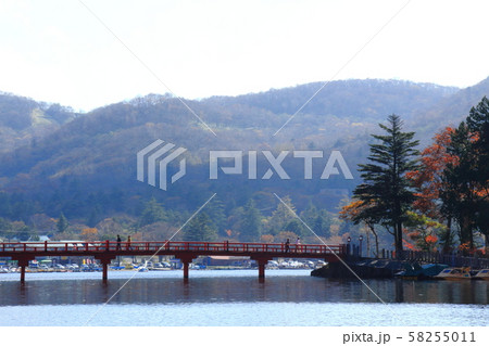 赤城山と大沼の秋 赤城山と大沼の秋 58255011