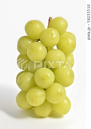 ぶどう(シャインマスカット) ぶどう(シャインマスカット) 58255510