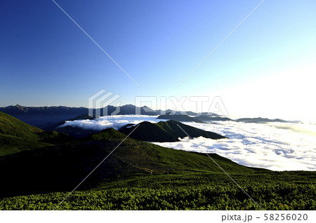 朝の乗鞍大黒岳の風景（撮影地：乗鞍、大黒岳） 58256020