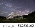黒部のエドヒガン桜と天の川 58256102