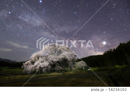黒部のエドヒガン桜と天の川 58256102