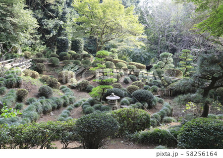 水海道風土博物館　坂野家住宅　庭園 58256164