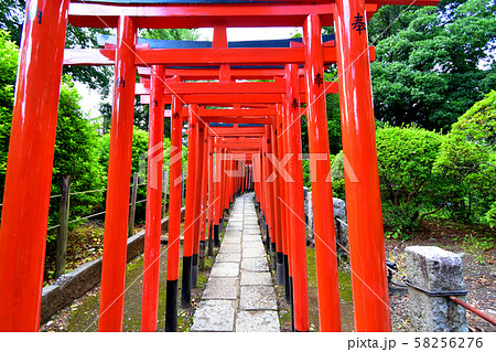 赤い鳥居 赤い鳥居 58256276
