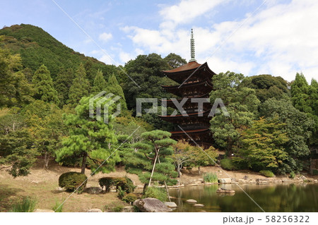 初秋の瑠璃光寺 58256322