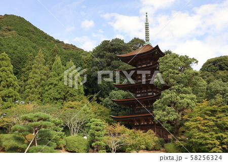 初秋の瑠璃光寺 58256324