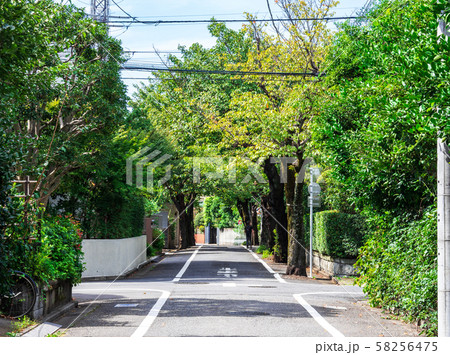 閑静な住宅街　成城 58256475