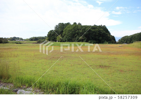 山田寺跡 58257309