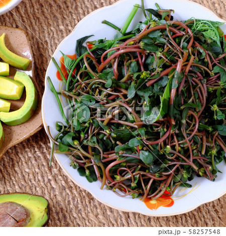 Top view healthy vegan, boiled purslane 58257548