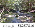 頓登川 58257810
