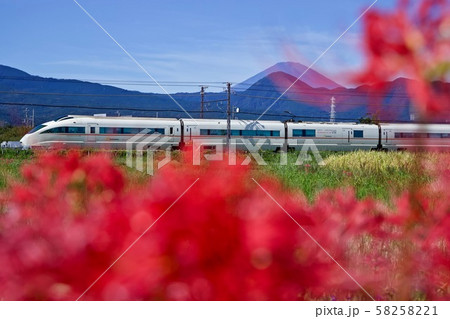 彼岸花とロマンスカー 58258221
