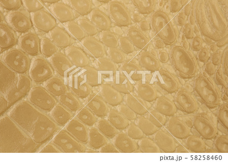 Artificial Leather Background Synthetics 58258460