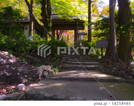 有馬温泉・瑞宝寺公園の紅葉、山門 有馬温泉・瑞宝寺公園の紅葉、山門 58258493