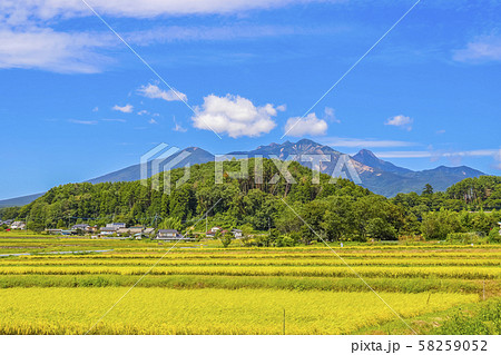 【山梨県】秋の八ヶ岳・谷戸城趾と田園風景 【山梨県】秋の八ヶ岳・谷戸城趾と田園風景 58259052