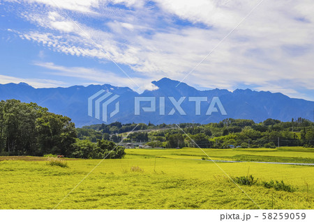 【山梨県】南アルプスと秋の田園風景 【山梨県】南アルプスと秋の田園風景 58259059