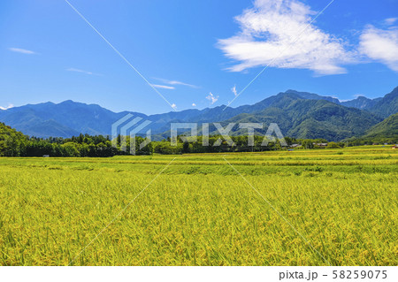 【山梨県】甲斐駒ヶ岳と秋の田園風景 58259075