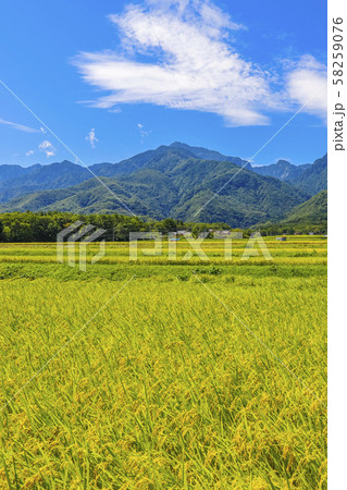 【山梨県】甲斐駒ヶ岳と秋の田園風景 58259076